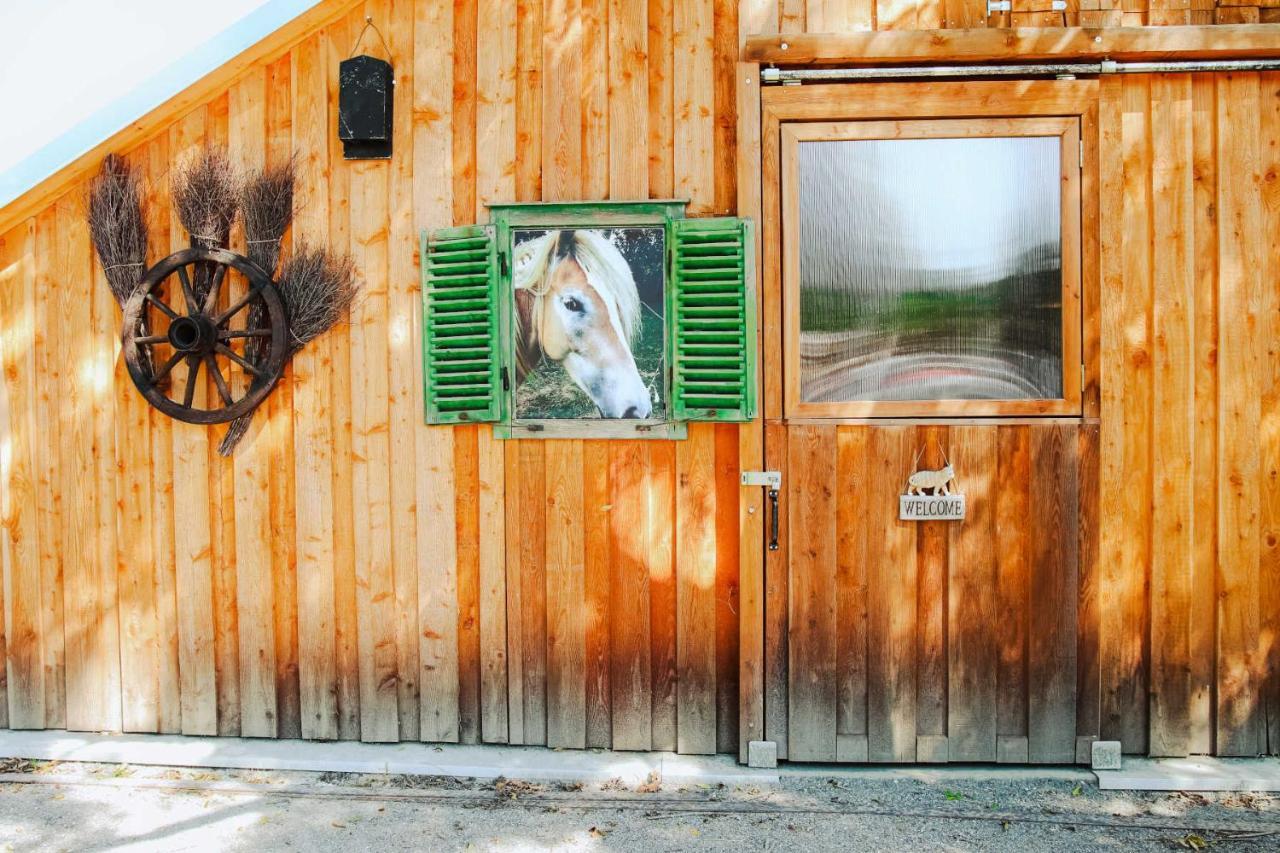 Amd Chalet Stang bei Hatzendorf Luaran gambar